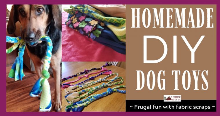 Homemade DIY Dog Toy: Frugal Fun