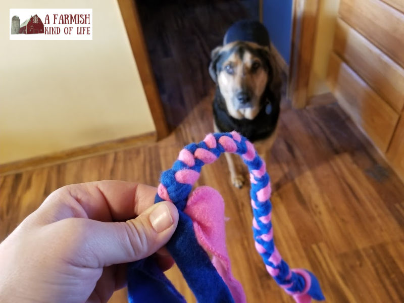 Let me share with you today how I make a homemade DIY dog toy using something I've got a lot of, and maybe you do, too: scrap fabric.