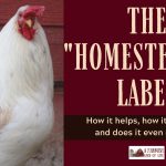 069: The homesteader label – how it helps, how it doesn’t