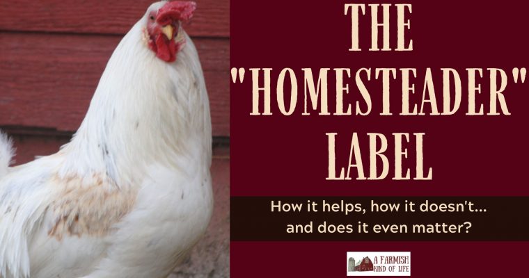 069: The homesteader label – how it helps, how it doesn’t