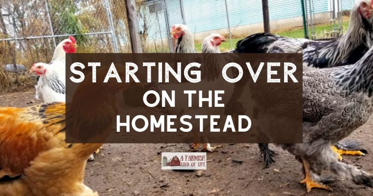76: Starting Over on the Homestead