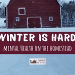 77: Because winter is hard (mental health for homesteaders)