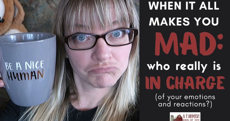 90: when it all makes you mad, who really is in charge?