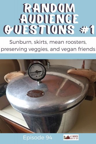 In today's random audience questions we tackle sunburn, wearing skirts, mean roosters, preserving vegetables, and vegetarian/vegan friends.