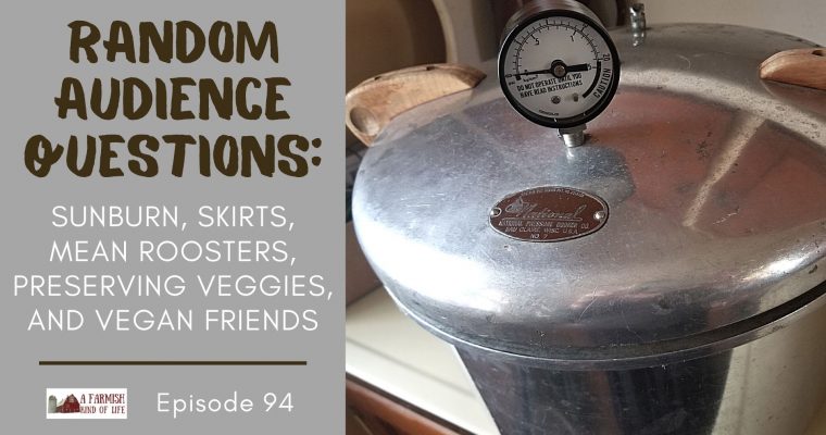 94: RAQs #1 — Sunburn, skirts, roosters, preserving, and vegan friends