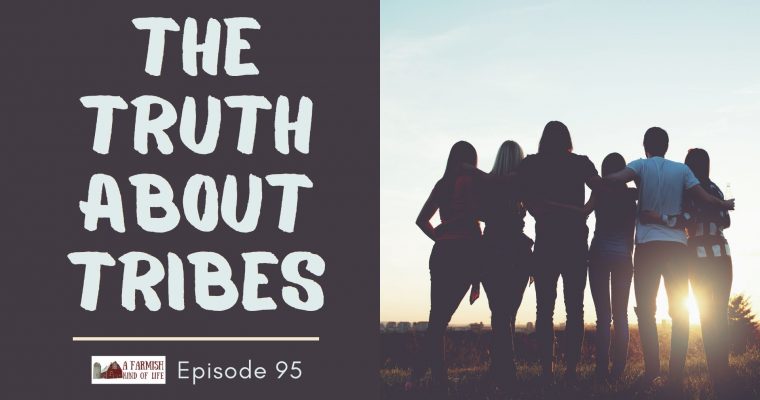 95: The truth about tribes, support systems, and friends
