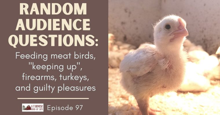 97: RAQs #2 – meat birds, keeping up, firearms, turkeys, guilty pleasures