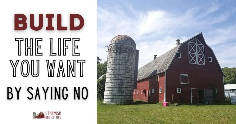 105: Build the Life You Want by Saying No