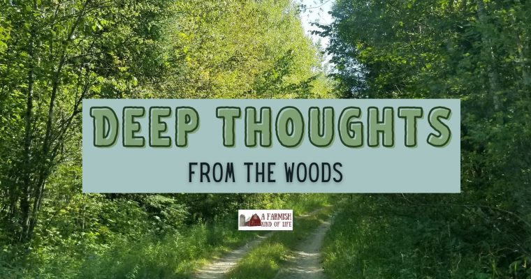 107: Deep Thoughts from the Woods