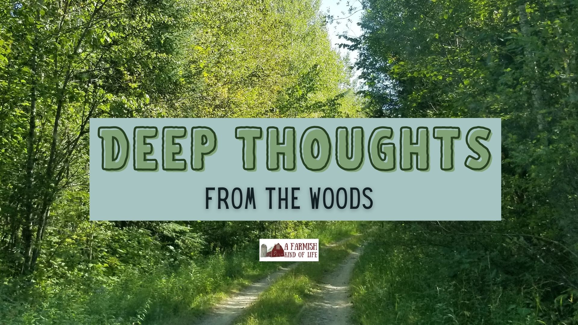 107: Deep Thoughts from the Woods