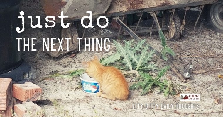 just do the next thing (itty bitty thoughts)