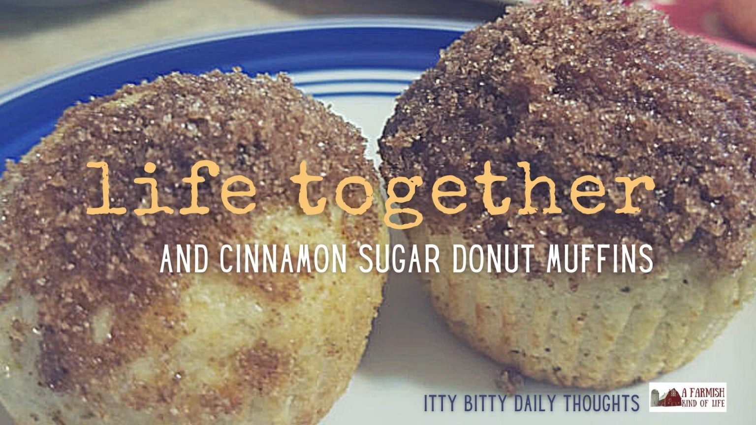 life together (and cinnamon sugar donut muffins) itty bitty thoughts