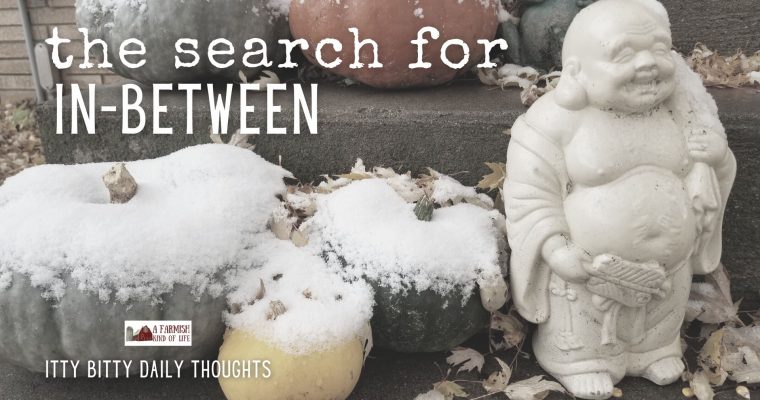 in-between (itty bitty thoughts)