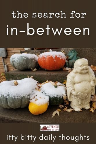 In a world of extremes, where is the in-between? My itty bitty thoughts brought about by about snow covered pumpkins and a Buddha statue.