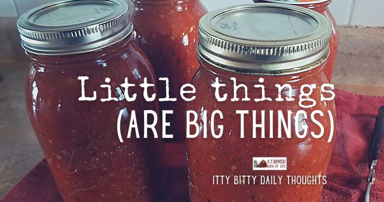 Little Things (itty bitty thoughts)