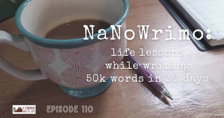 110: NaNoWriMo
