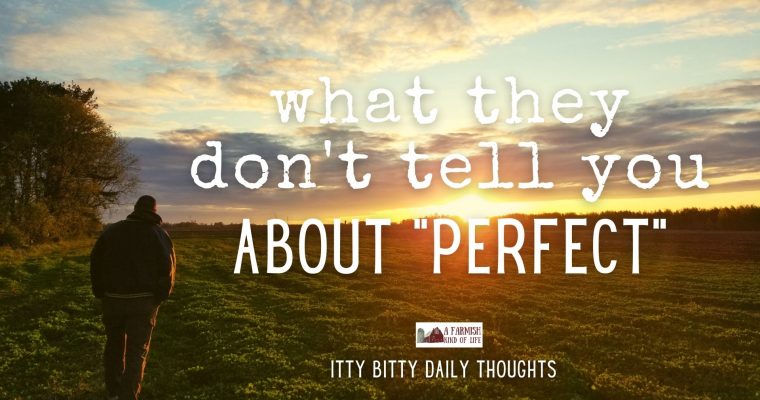 what they don’t tell you about perfect (itty bitty thoughts)