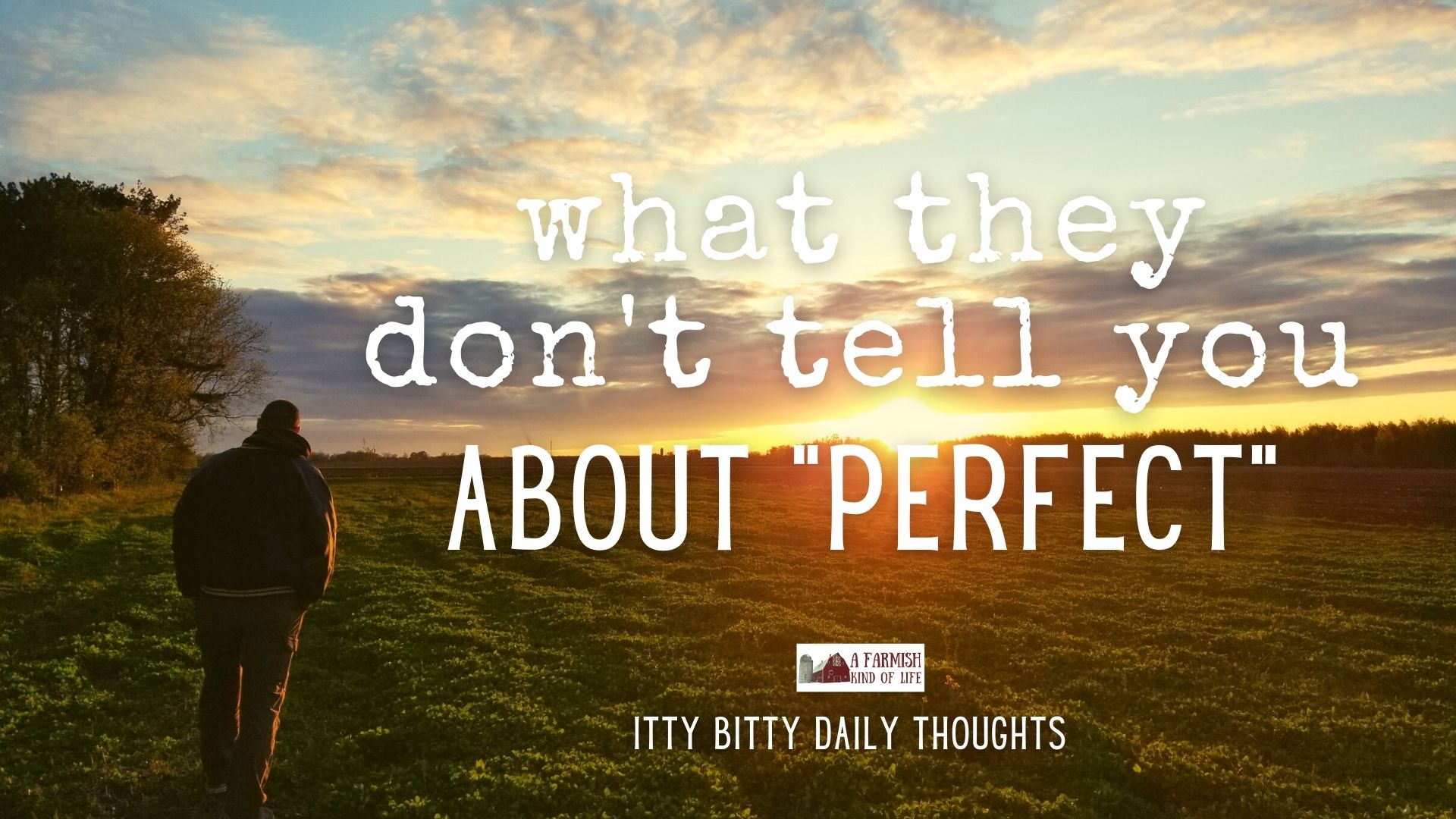 what they don’t tell you about perfect (itty bitty thoughts)