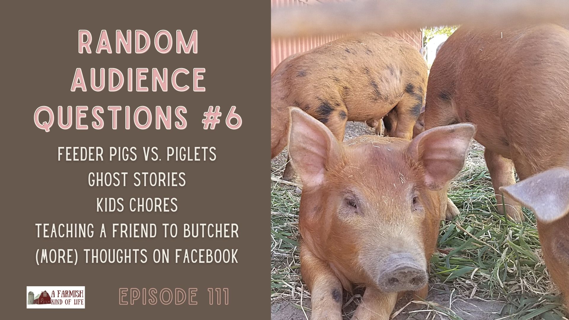 111: RAQ #6 – feeder pigs, ghost stories, kid chores, teaching butchering, and Facebook