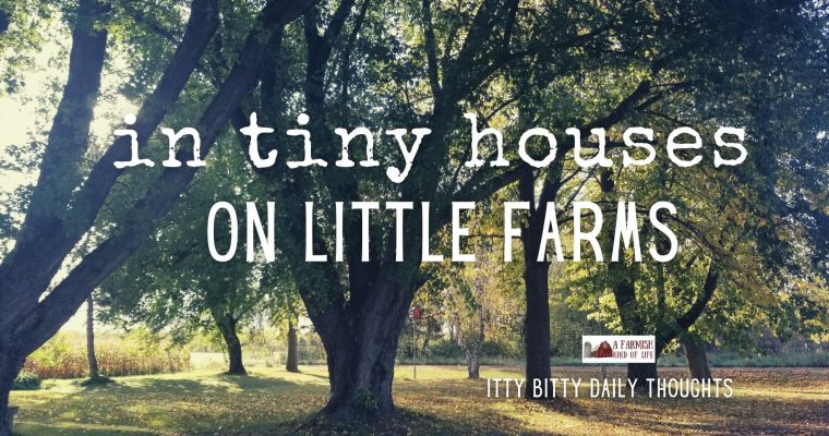 in tiny houses on little farms (itty bitty thought)