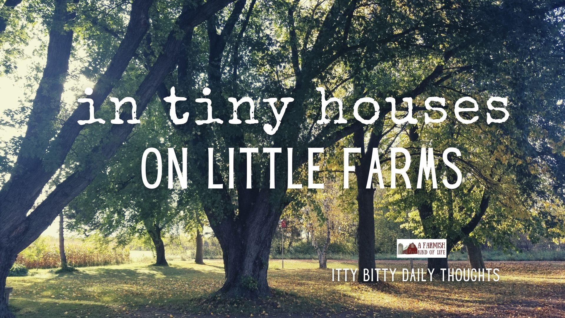in tiny houses on little farms (itty bitty thought)
