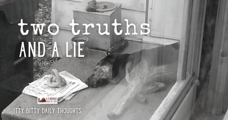 two truths and a lie (itty bitty thoughts)