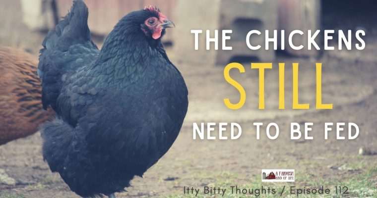 112: The Chickens Still Need to Be Fed