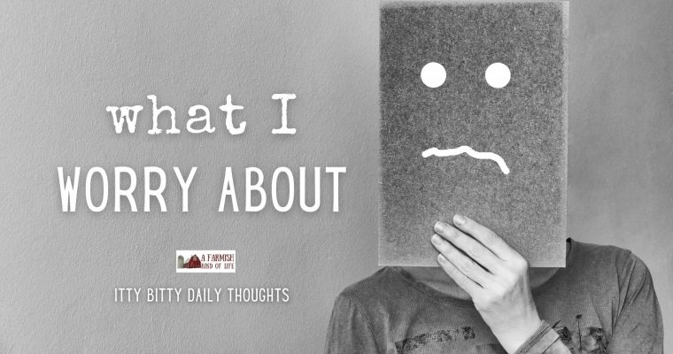 What I Worry About (itty bitty thoughts)