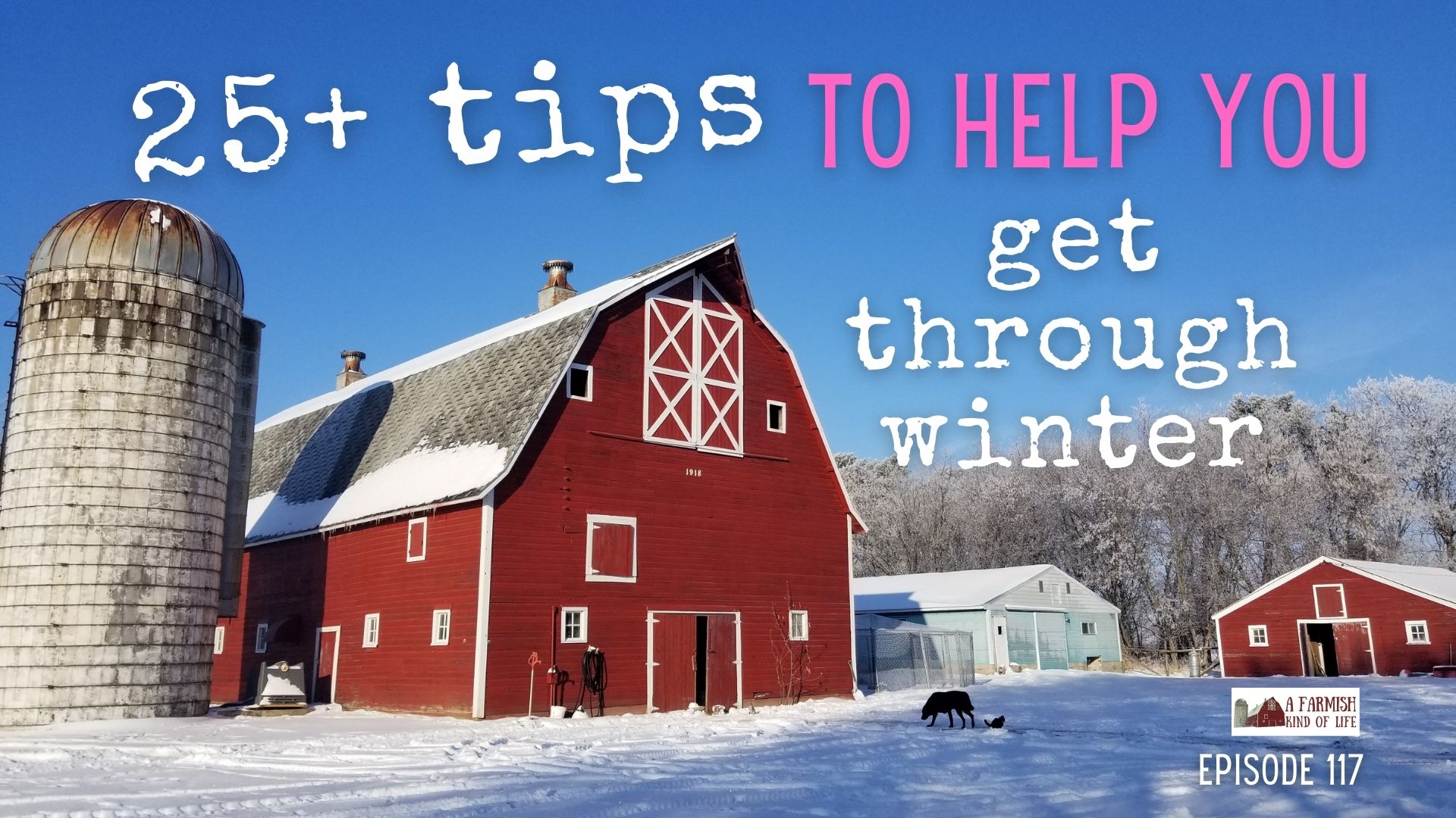 117: 25+ tips to help you get through winter