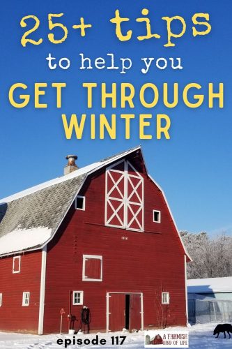Feeling the dark of winter? Here are 25+ tips to help you get to spring with a smile on your face.