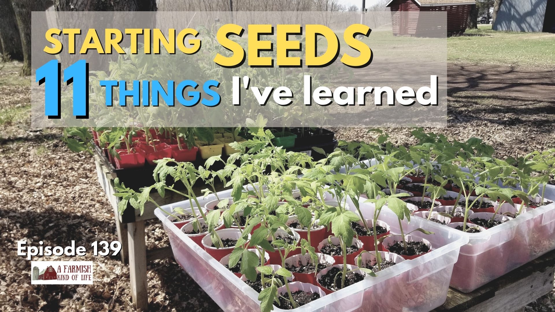 139: Starting Seeds – 11 Things I’ve Learned