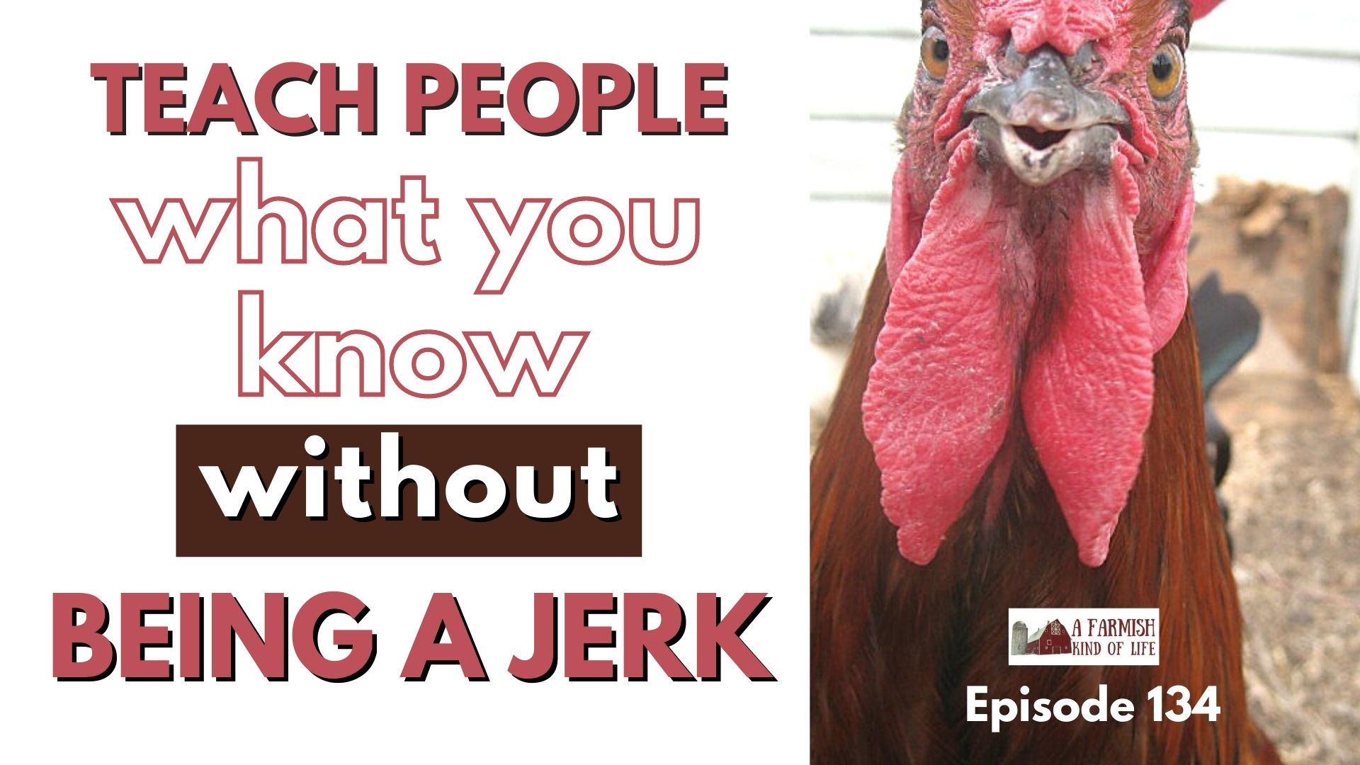 134: Teach People… Without Being a Jerk