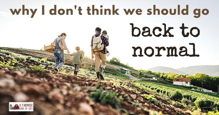 171: Why I don’t think we should go “back to normal”