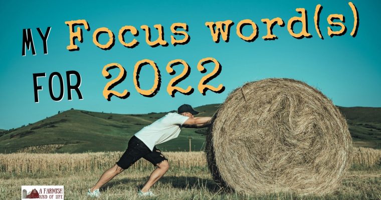 177: Focus for a new year