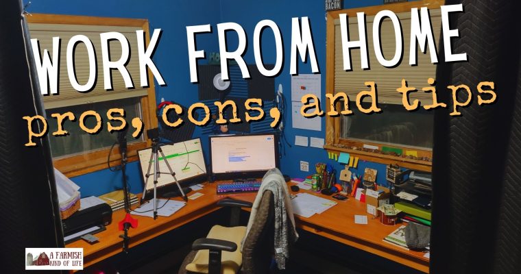 179: Work from home: pros, cons, and tips