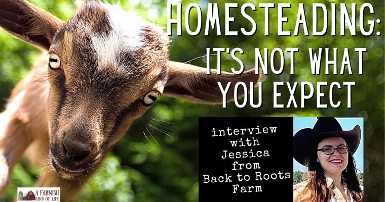 191: Homesteading is not what you expect