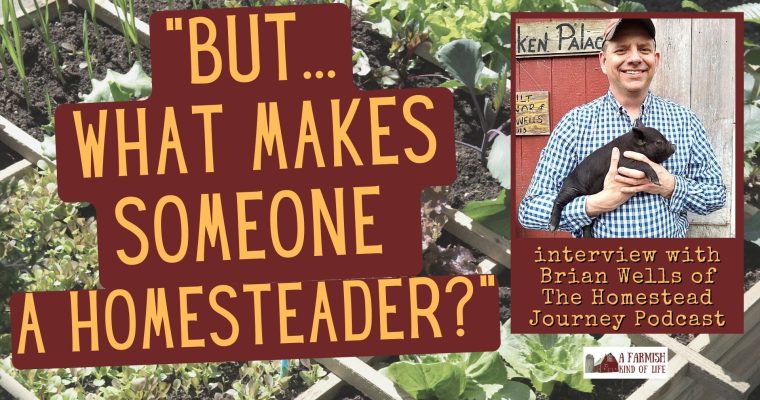197: What actually makes you a homesteader?