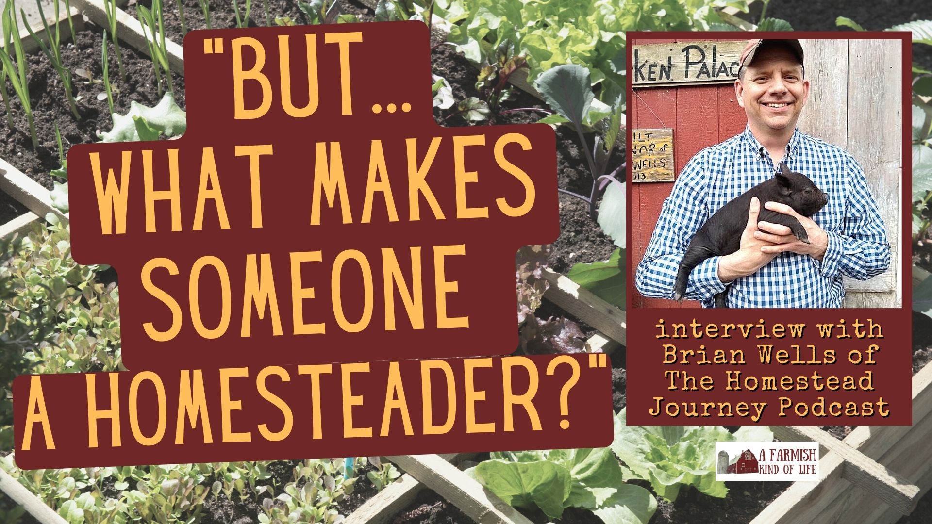 197: What actually makes you a homesteader?