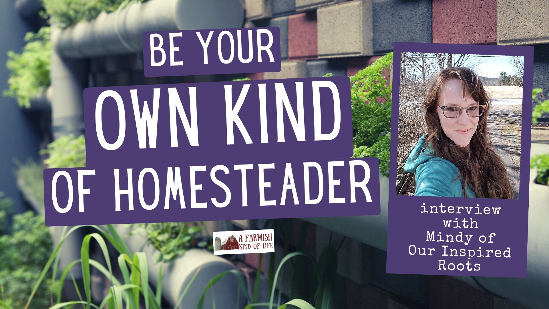 212: Be Your Own Kind of Homesteader