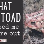 213: A Toad Helped Me Figure It Out