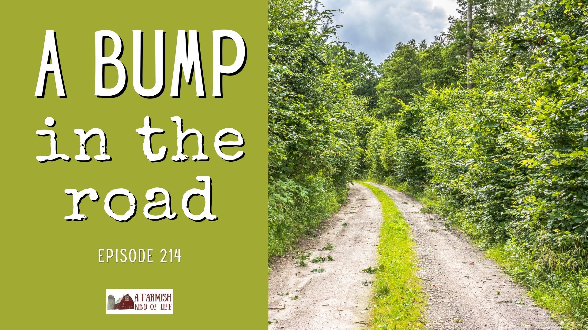 214: A Bump in the Road