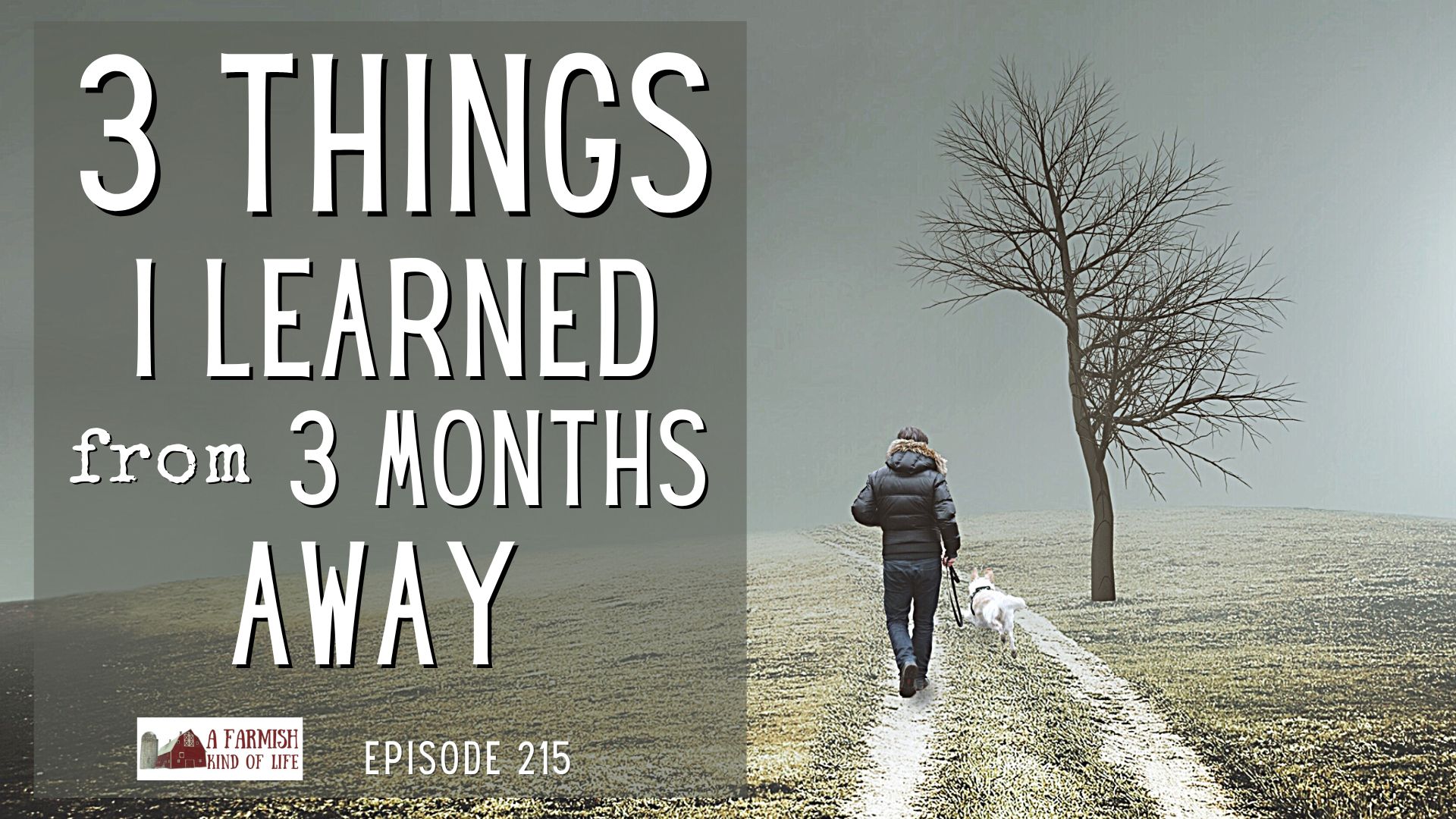 215: Three Things Learned From Three Months Away