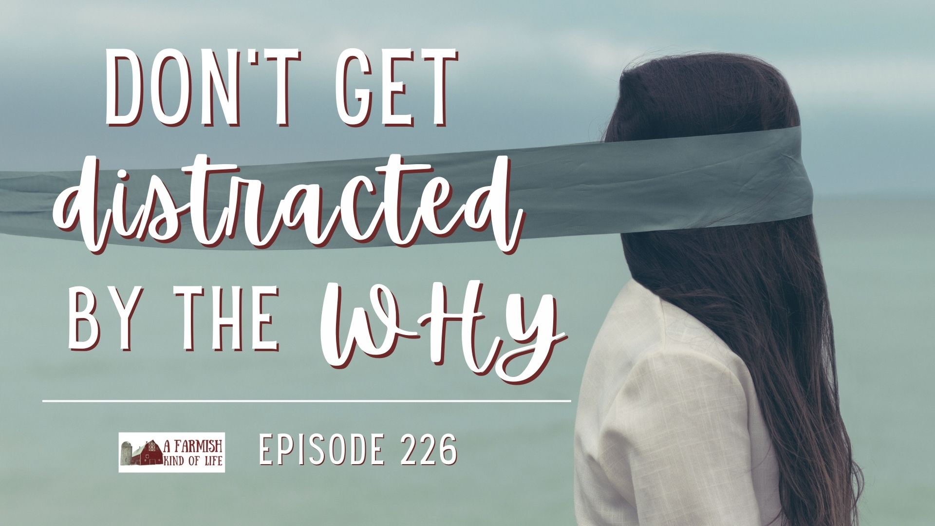 226: Don’t get distracted by the why