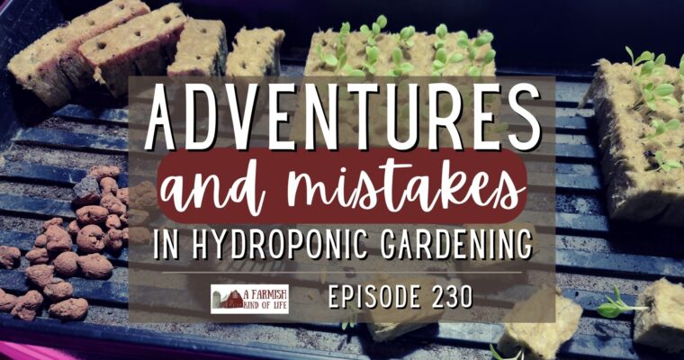 230: Adventures and Mistakes in Hydroponic Gardening