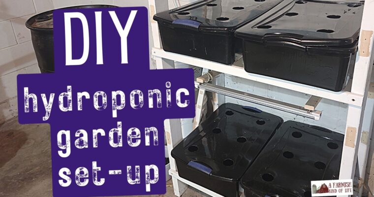 Simple DIY Hydroponic Garden Set-Up