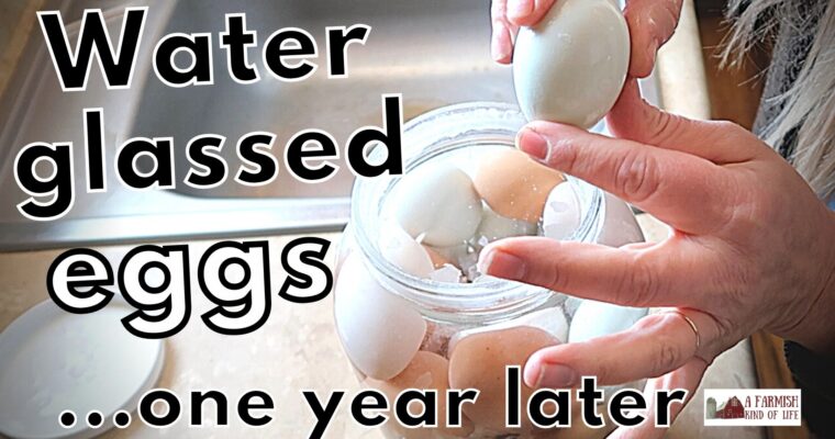 Preserve eggs by water glassing