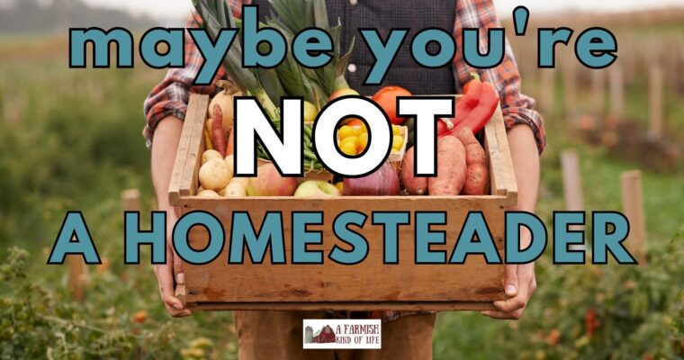 240: Maybe you’re not a homesteader