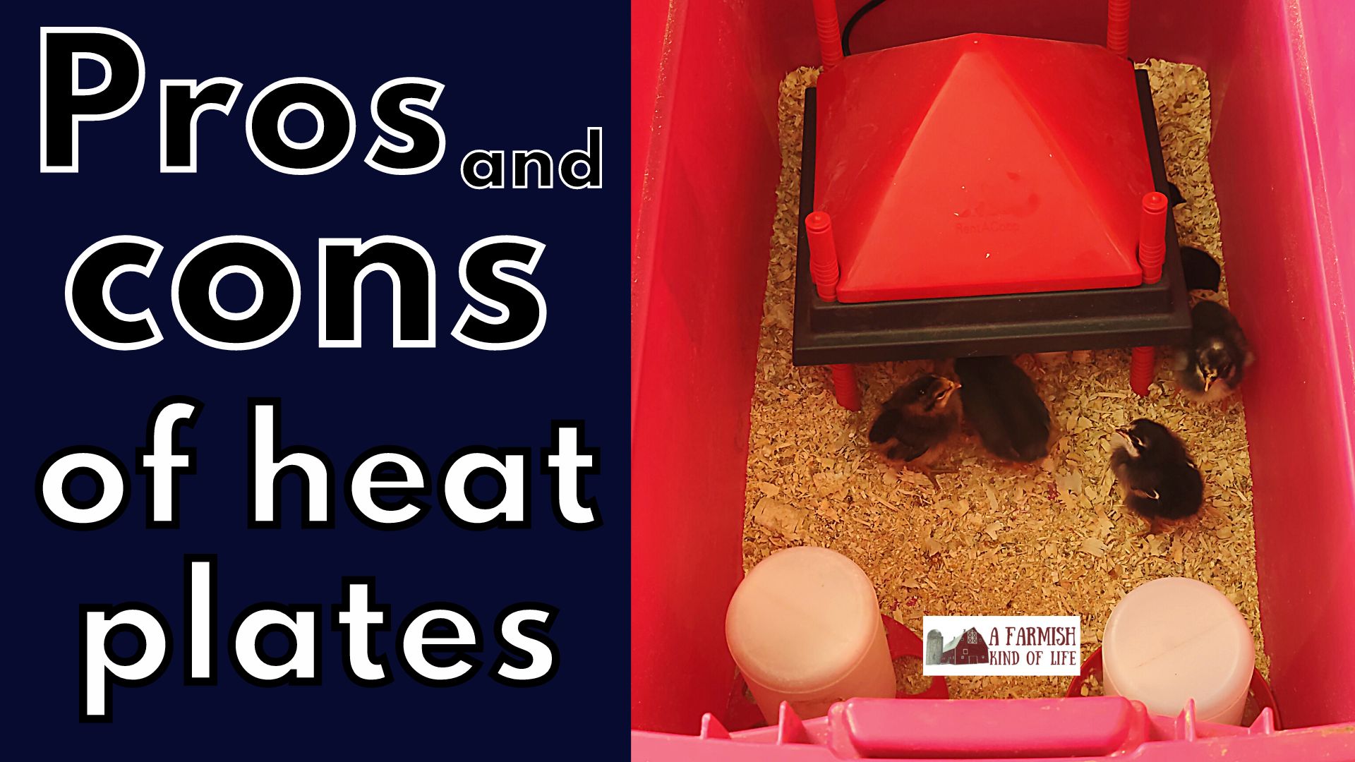 Pros and Cons of a Chick Brooder Heat Plate