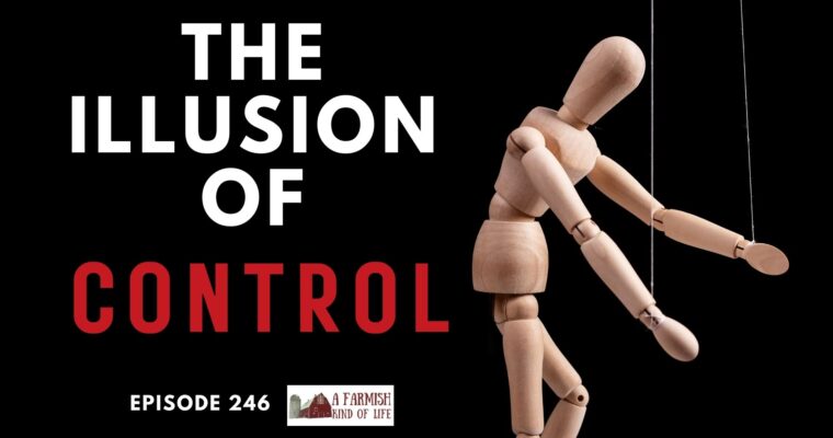 246: The illusion of control