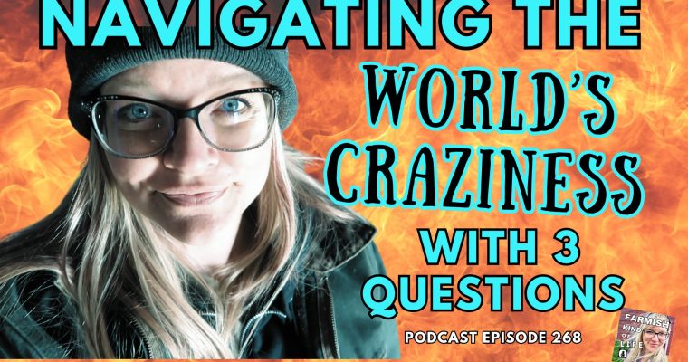 268: Navigating the world’s craziness with 3 questions